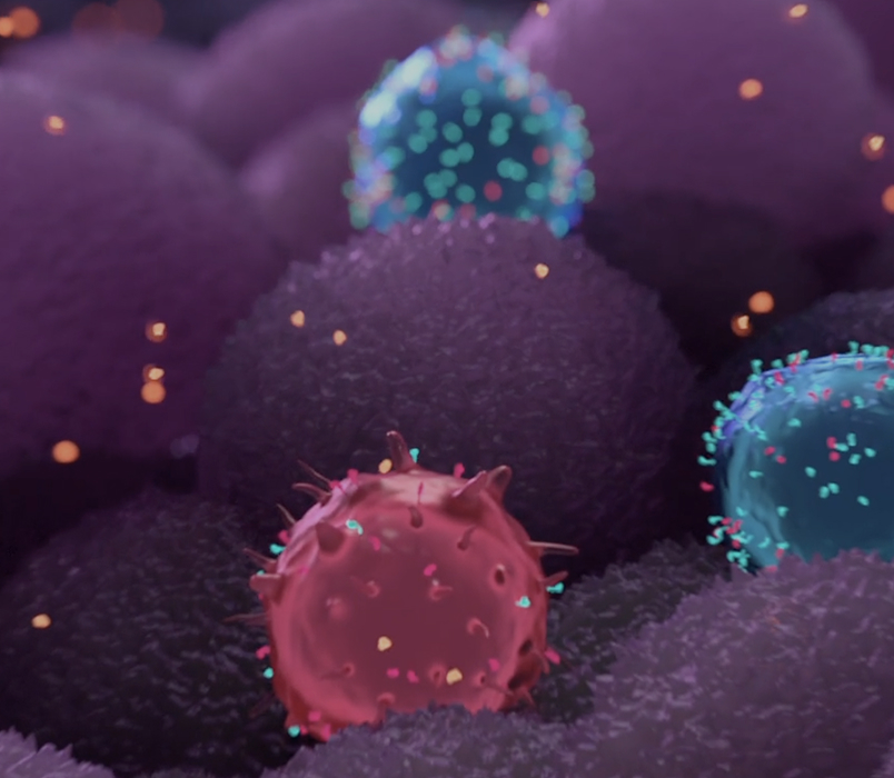 investor relations hero